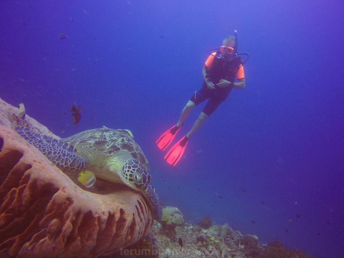 Anema Wellness & Resort Gili Lombok - Diving Center Padi Tanjung  Luaran gambar